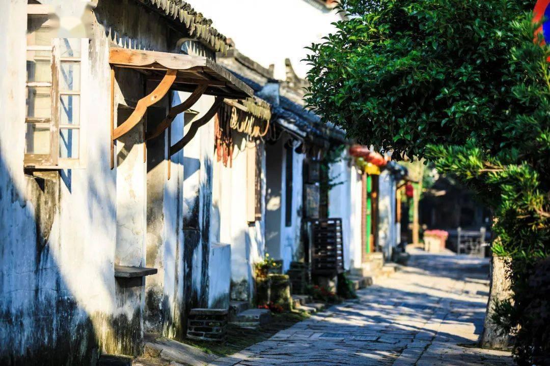 园丁逃生